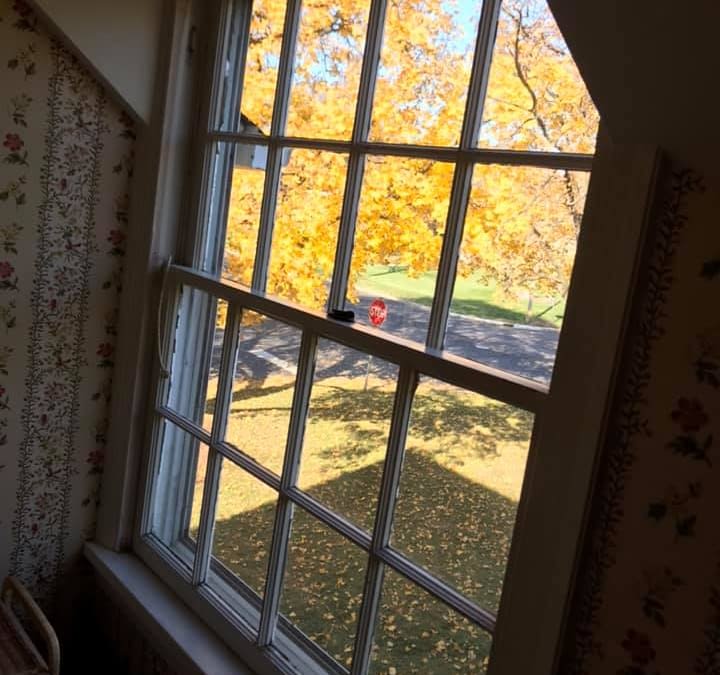 Commercial Window Cleaners and What You Need to Know