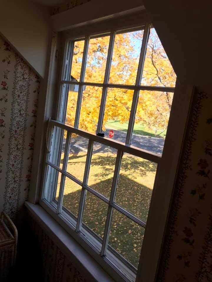 Best window washing company